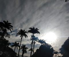 WhatsApp-Image-2020-05-18-at-17.47.06