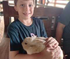 IMG-20220426-WA0042