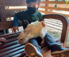 IMG-20220429-WA0087