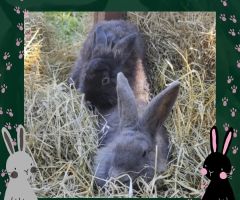 340976663_785010139379424_7660806439754307764_n