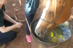 20141201_162155 (Small)