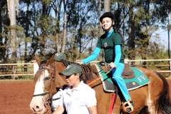 ANDAMENTO (87) (Small)