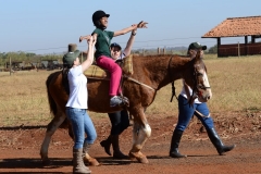 ANDAMENTO LONGO (33) (Small)