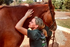 IMG_20160920_141532060_HDR (Small)