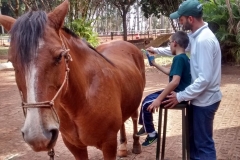 IMG_20160923_152745072_HDR (Small)