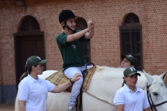 PRIMEIROS PASSOS (160) (Small)