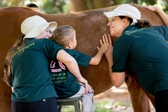 Zznprint6955 (Small)