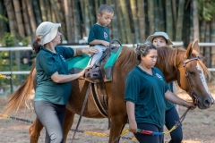 Zznprint7055 (Small)