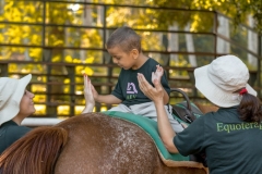 Zznprint7118 (Small)