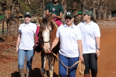 taila recortada (Small)